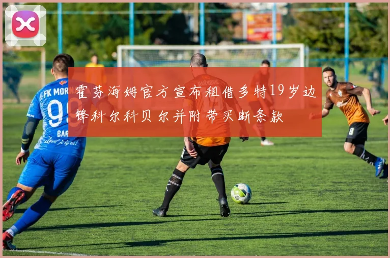 霍芬海姆官方宣布租借多特19岁边锋科尔科贝尔并附带买断条款