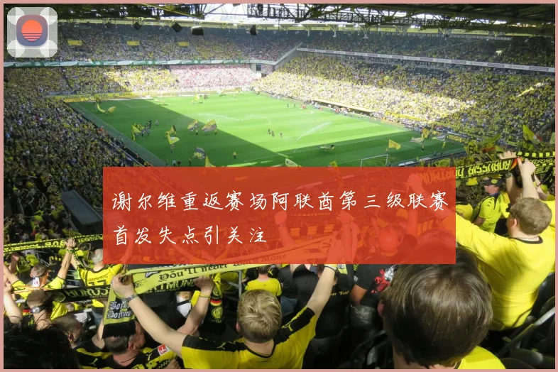 谢尔维重返赛场阿联酋第三级联赛首发失点引关注